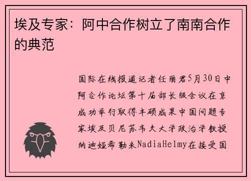 埃及专家：阿中合作树立了南南合作的典范
